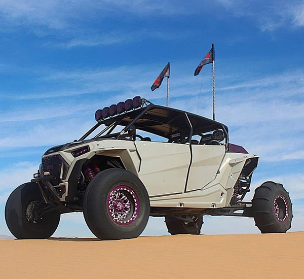 Polaris – RZR Turbo S – Assassin