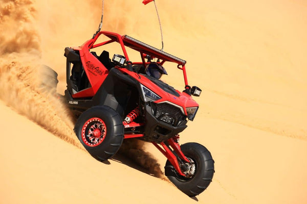 Polaris - RZR Pro XP - Assassin